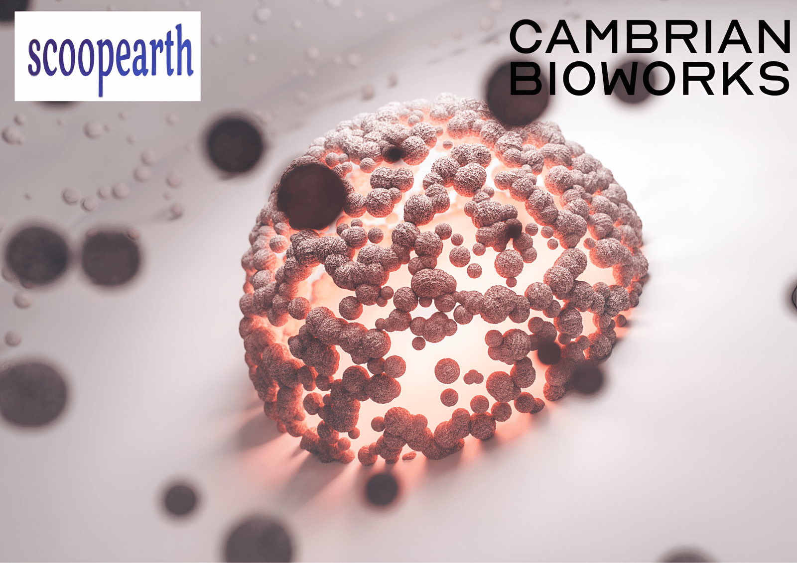 Biotech Startup Cambrian Bioworks Raises $1.45 Million in Seed Funding from Irani Family Office and Others