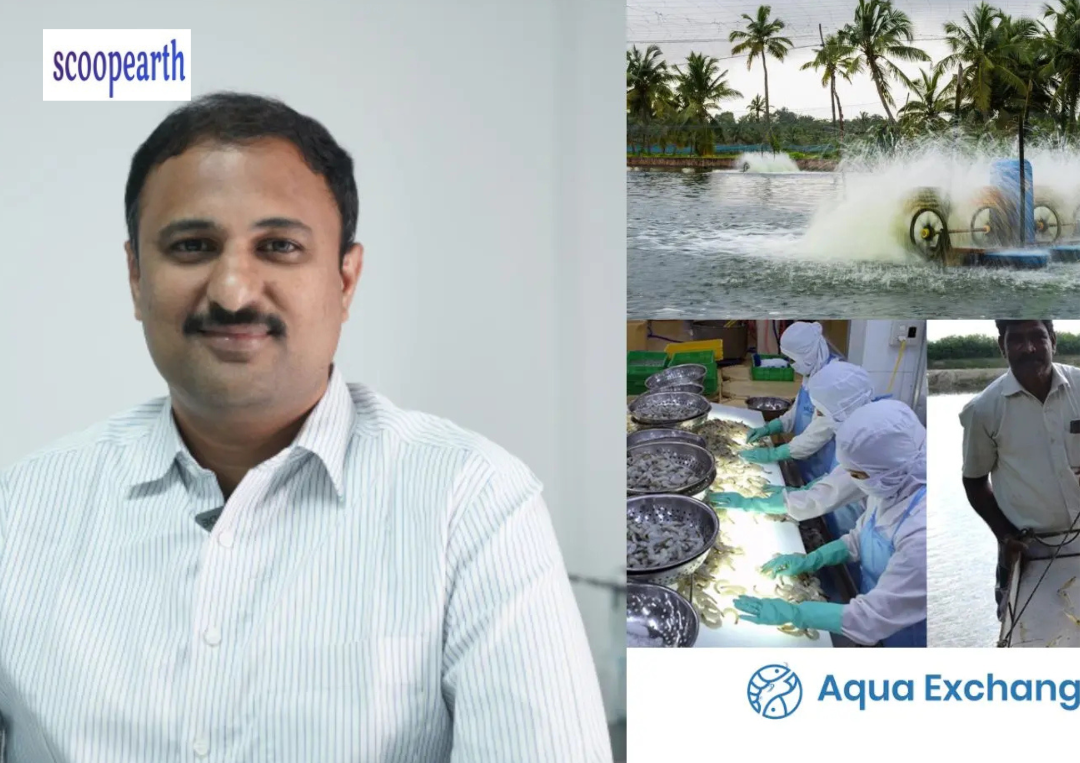 Aquaculture Tech Startup Aqua Exchange Posts ₹104.9 Cr Revenue with Sharp Loss Increase 92 percent  in FY24
