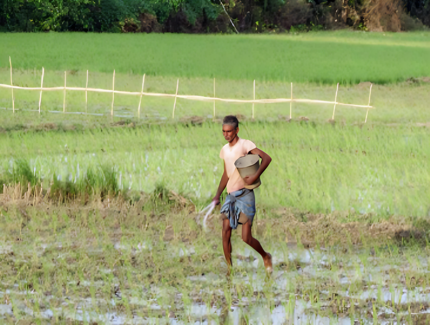 Seasonal variables are expected to cause agribusiness enterprises to report weak Q3FY26 performance: The Nuvama 