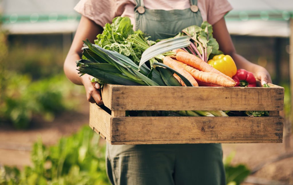 Important Issues and Prospects Affecting the Indian Organic Food Sector