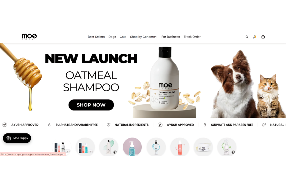 D2C pet care brand Moe Puppy secured ₹2 crore in a pre-seed funding round led by PedalStart